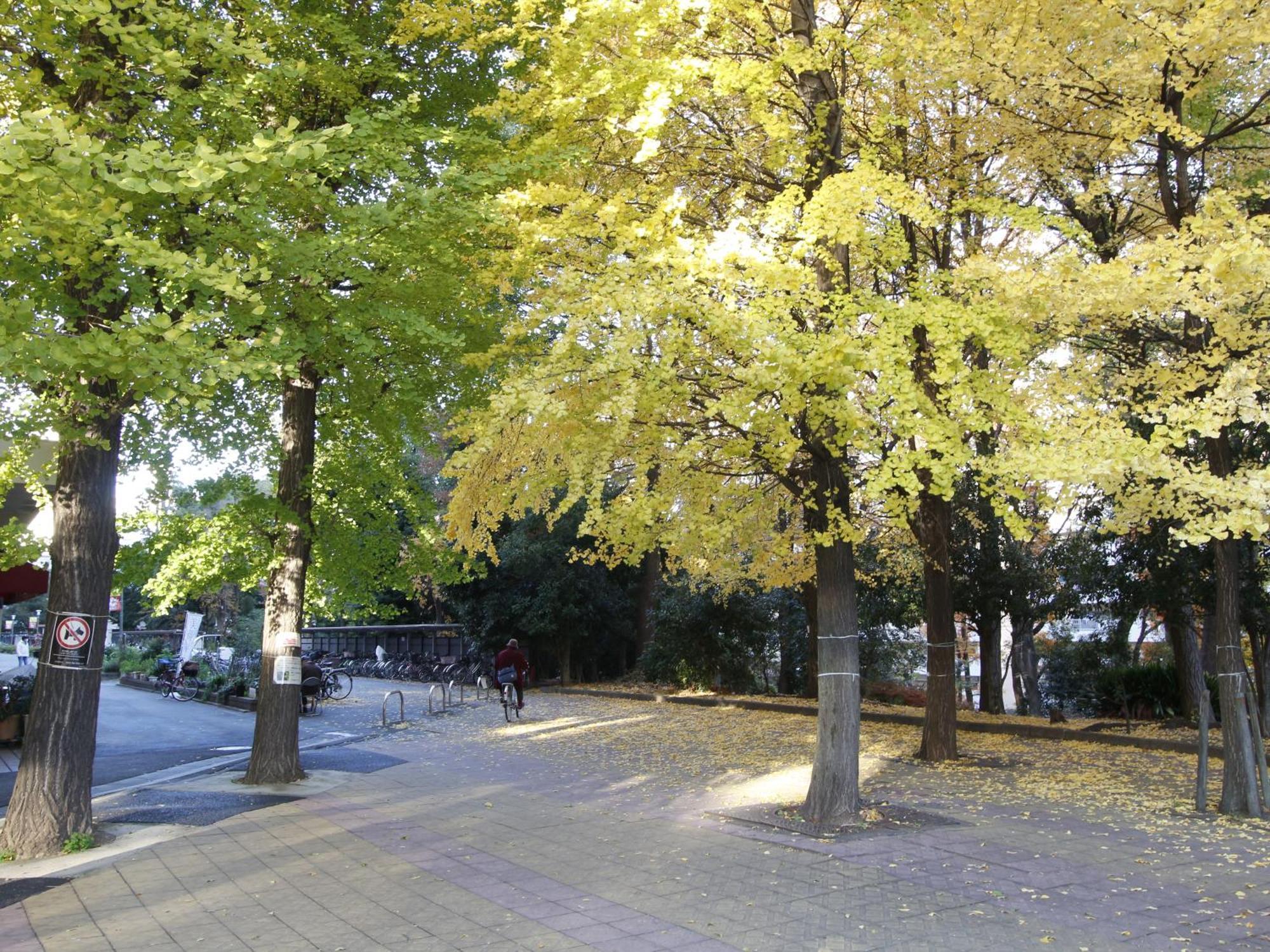 Apartament 和貴ビル Tokio Zewnętrze zdjęcie